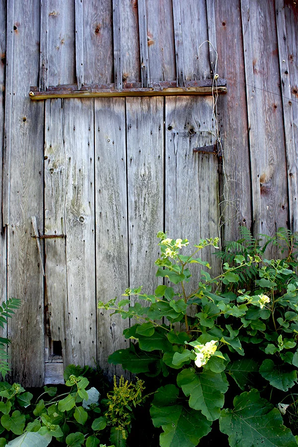 Maryhill Farm Small Barn Door.jpg