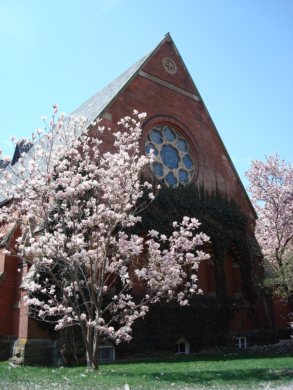 1024px-Cornell_sage_chapel_blossoms copy.jpg