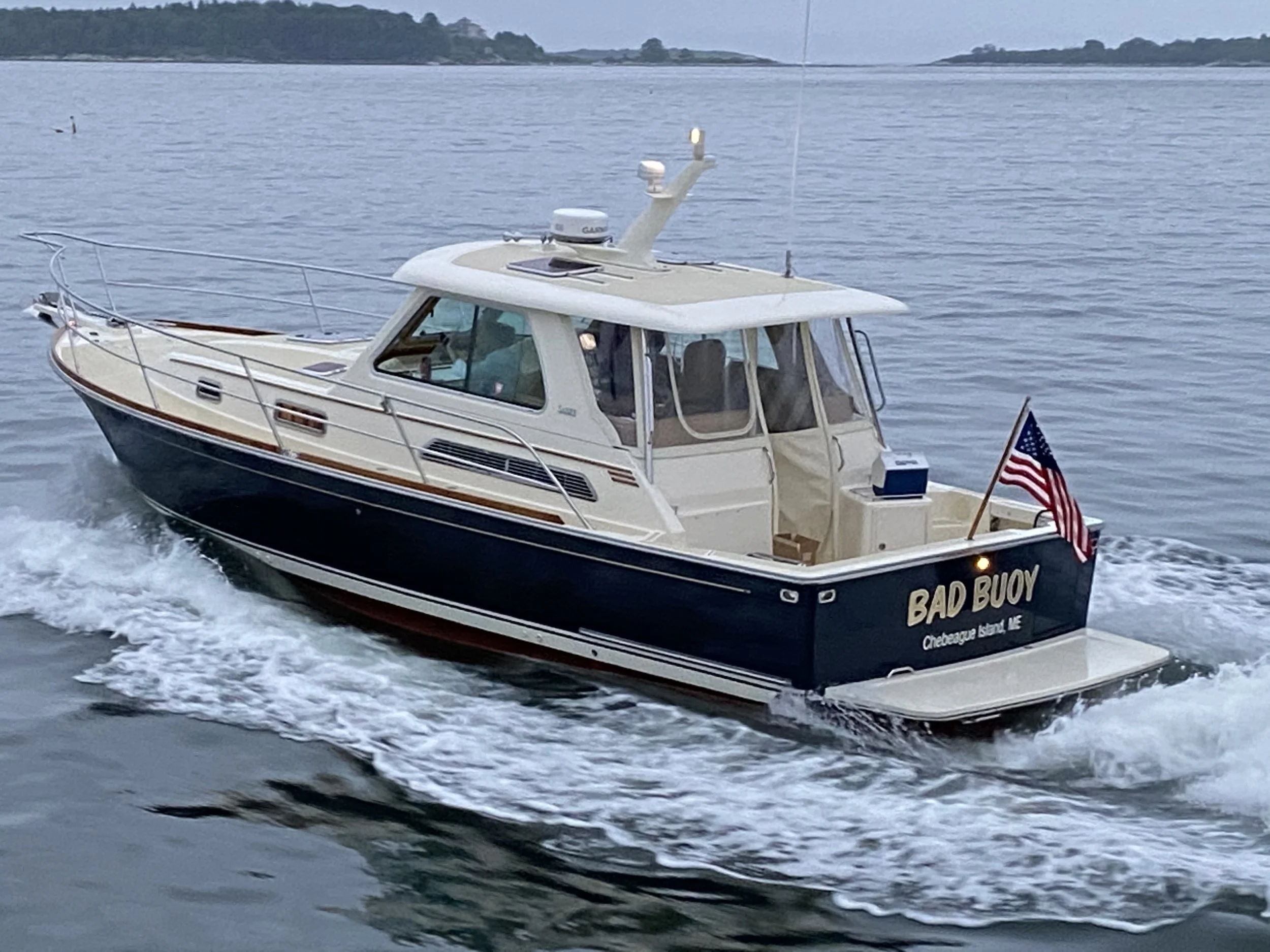 Boat Trip to the Dolphin (goes with gift card)