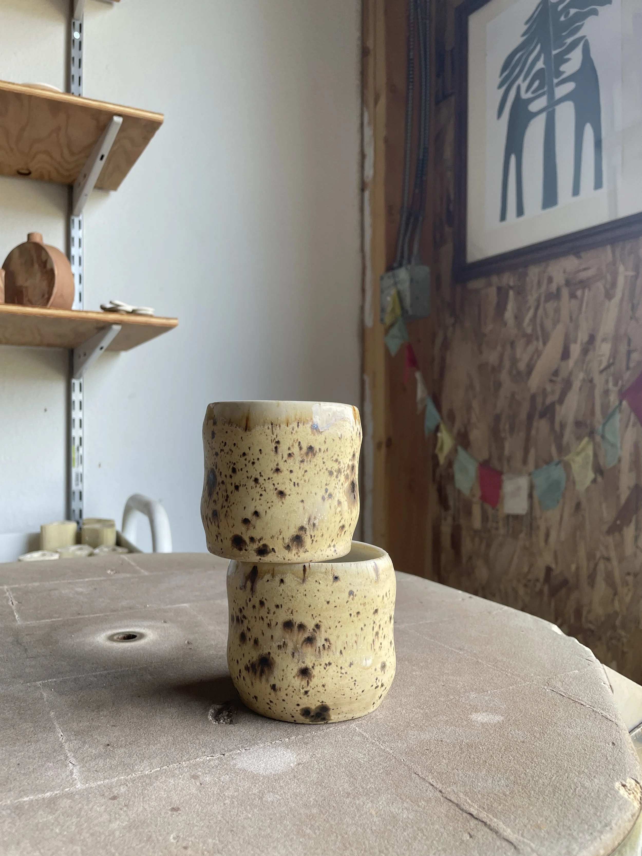 Sandstone Bubble Tumbler