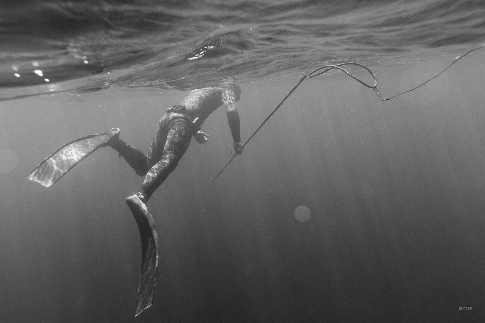 Freedive UK