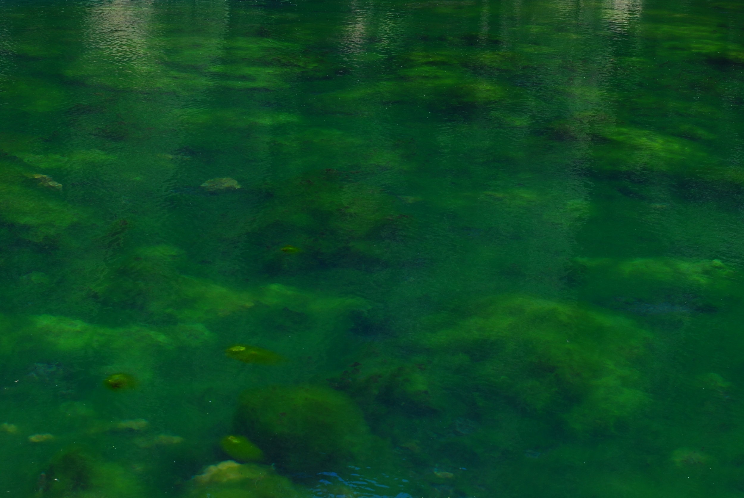 DSC_8475.JPG