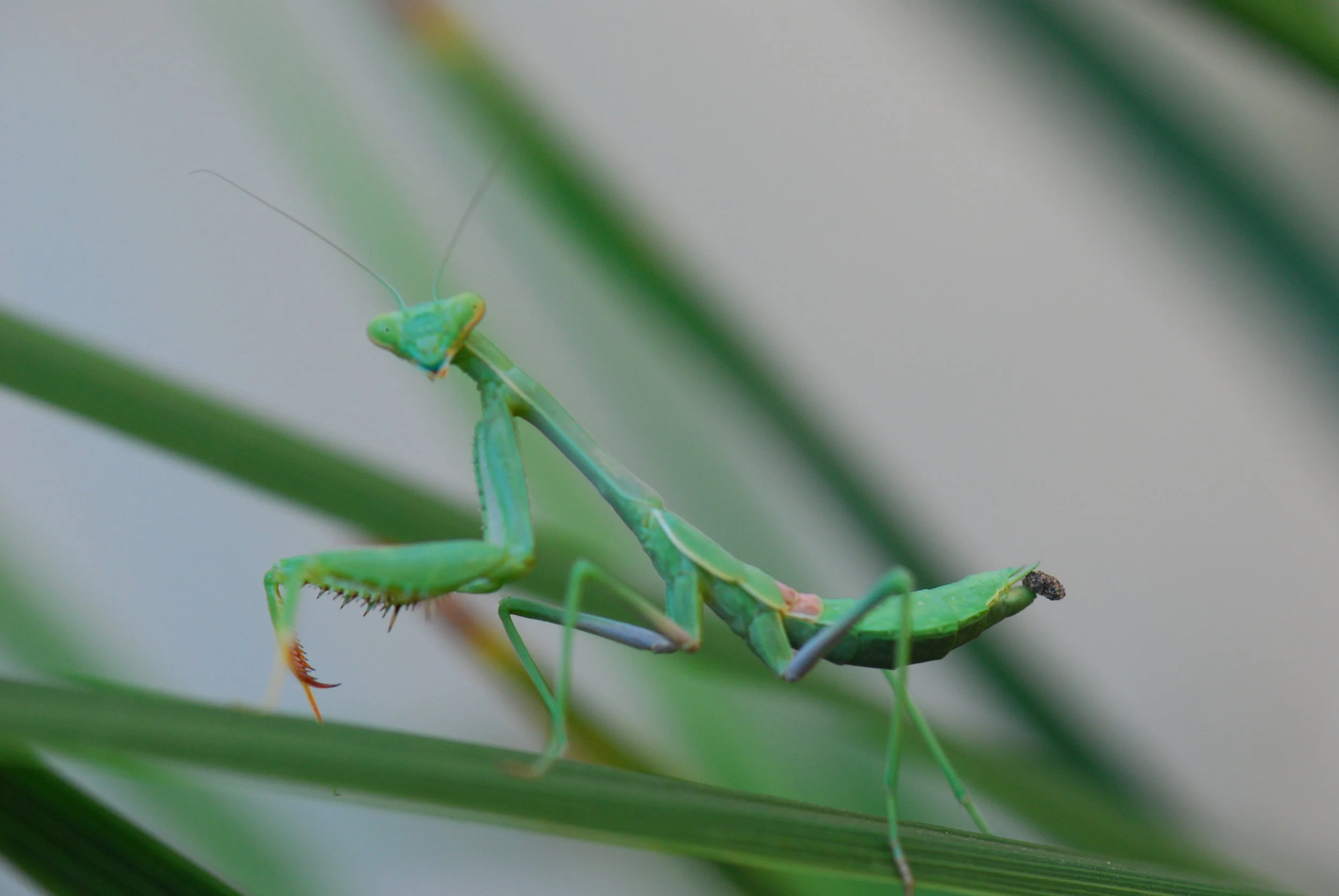 DSC_6224.JPG