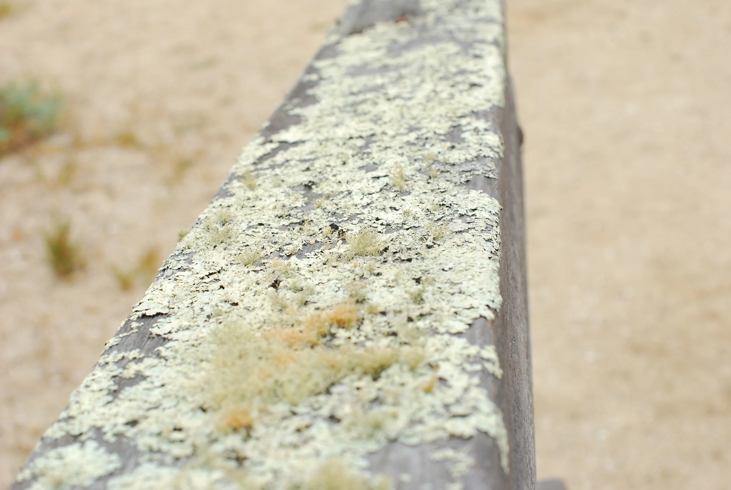 DSC_5609.JPG
