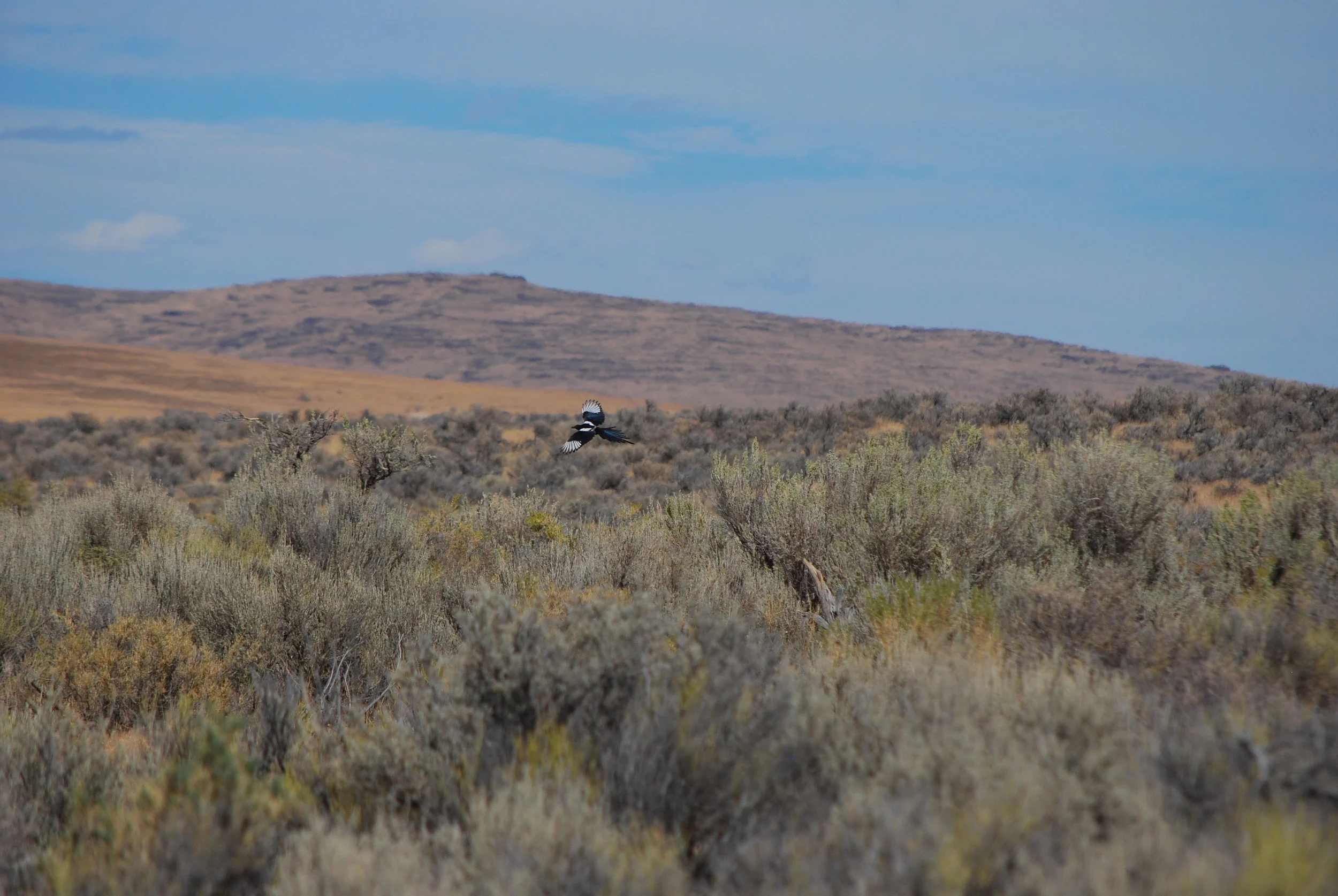 DSC_6355.JPG