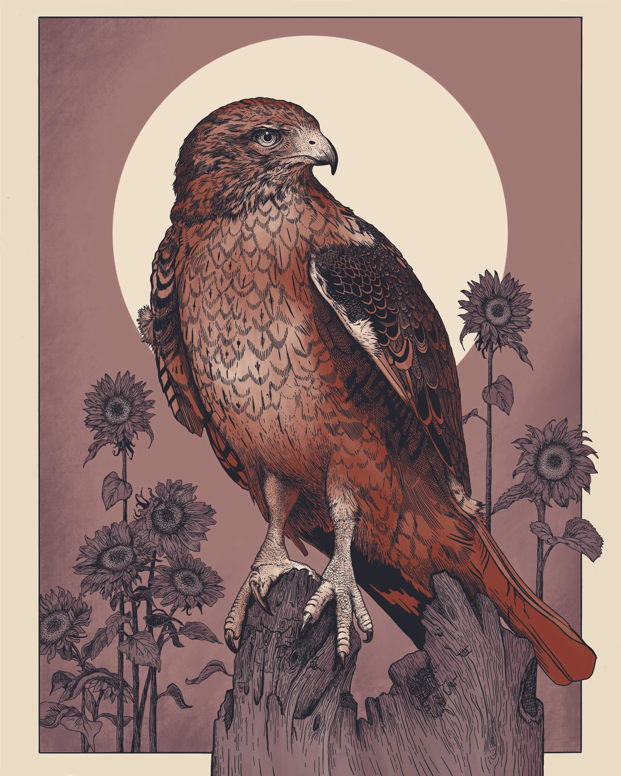 Red Tail