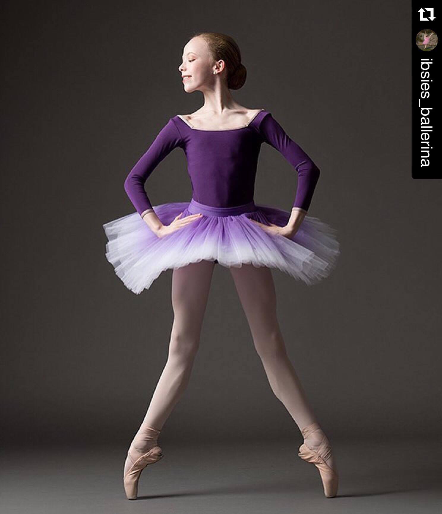 Classical standard Amethyst ombre tutu