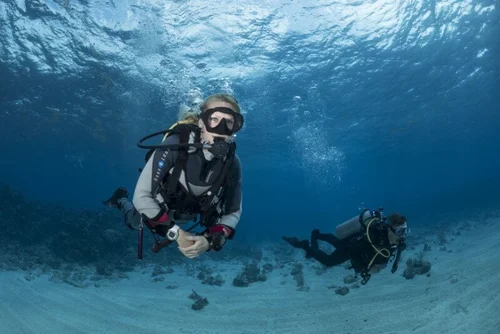 Advanced Open Water to PADI Divemaster