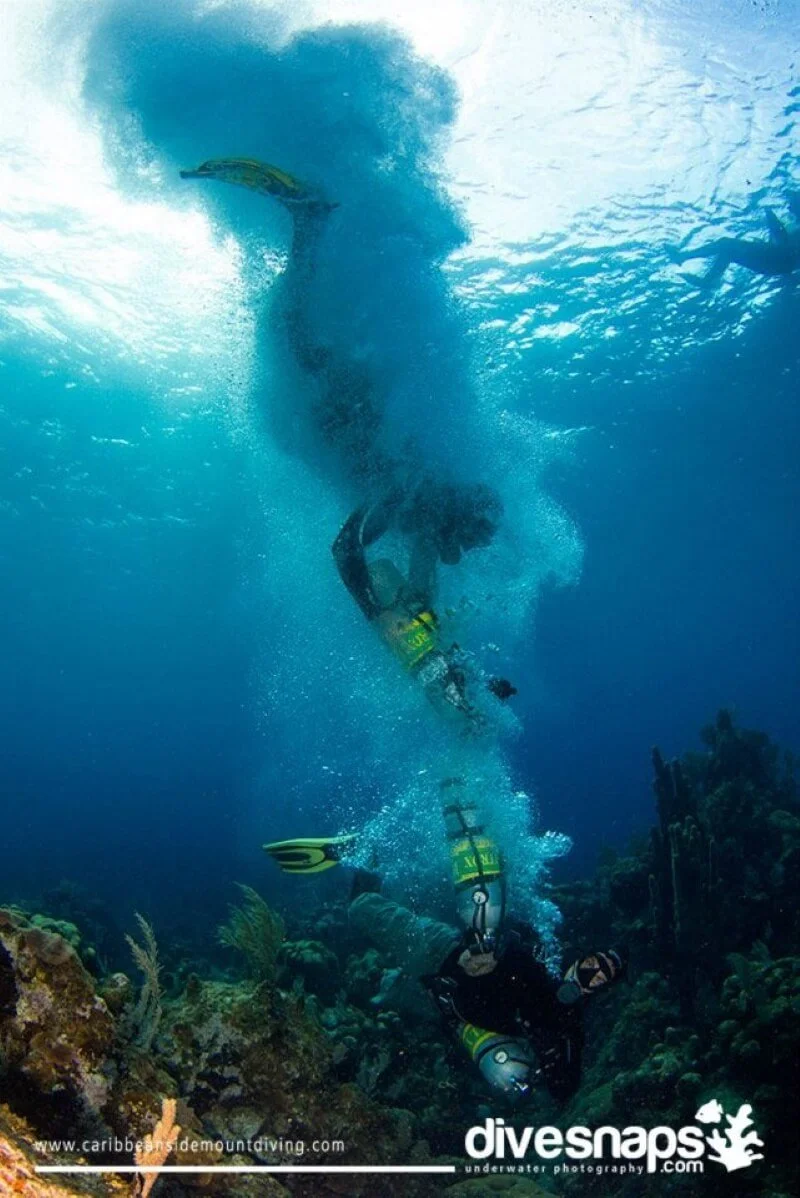 PADI IDC Package including accommodation and 5 Specialty Instructor Certs