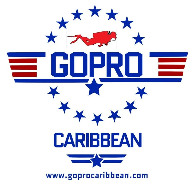 Divemaster Internship | PADI instructor Course | Scuba Instructor Training | IDC | PADI PRO