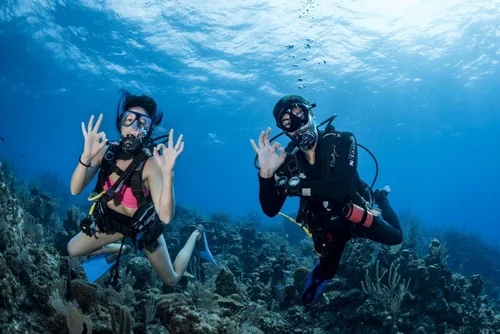 Open Water to PADI Instructor