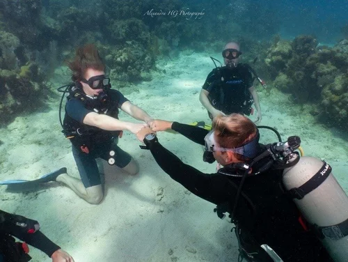 PADI IDC Package with Accommodation