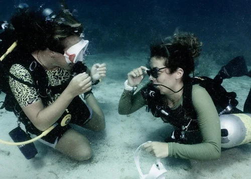 Certified Divemaster to PADI Instructor package