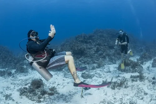 Complete Beginner to PADI Instructor