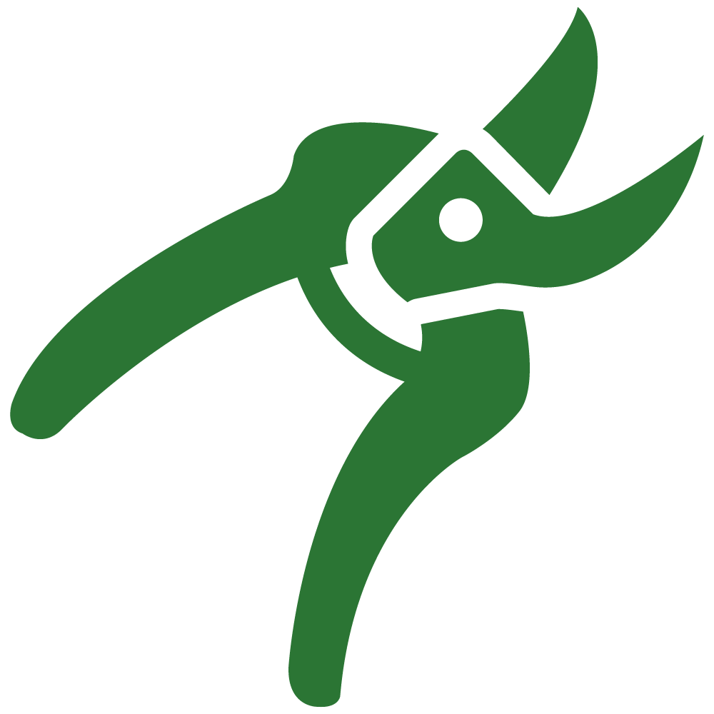 pruning.png