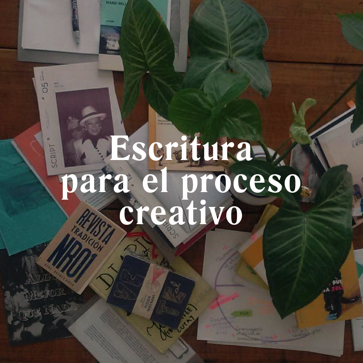 escritura para el procesoweb.png