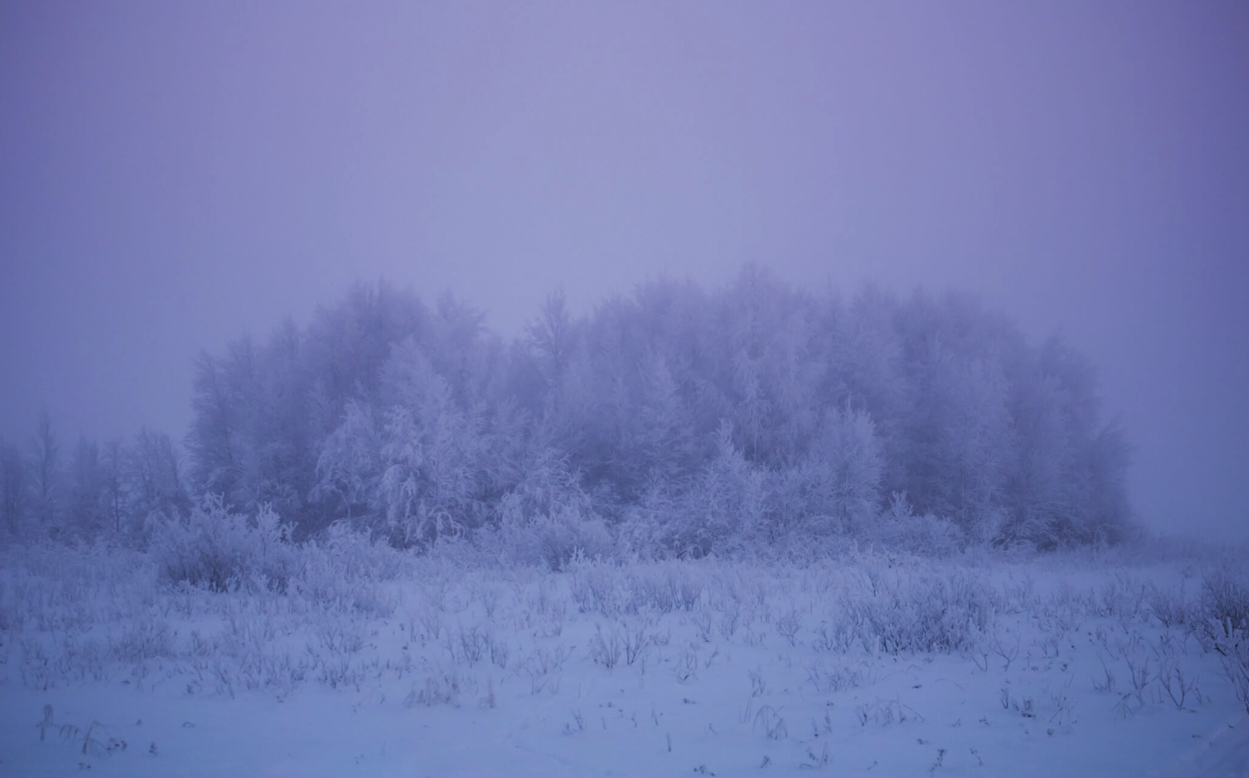 Captura de pantalla 2018-07-25 a la(s) 22.09.21.png