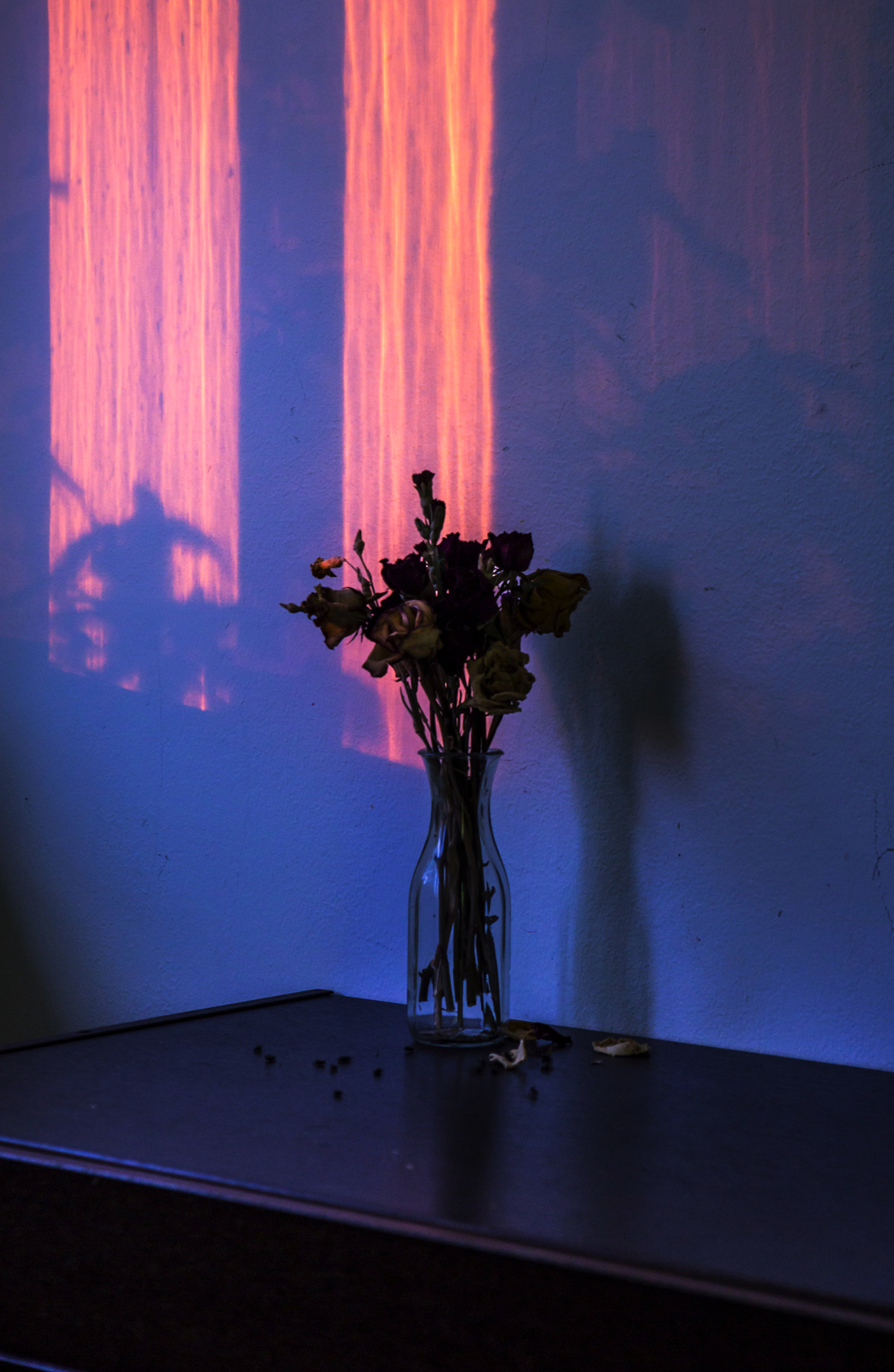 Captura de pantalla 2018-07-25 a la(s) 22.02.12.png