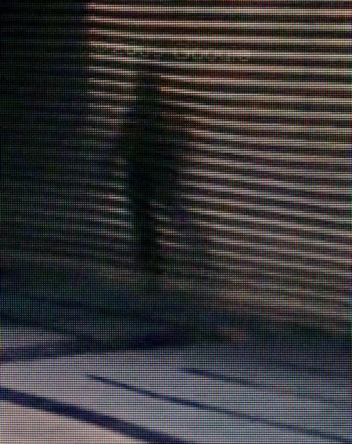 05Michael Wolf.jpg