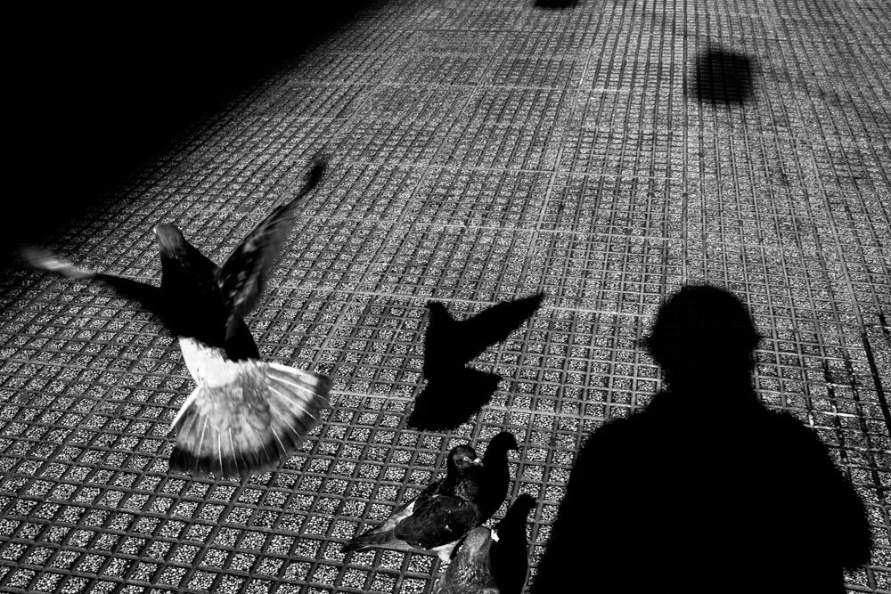 Copia de O1001841.jpg