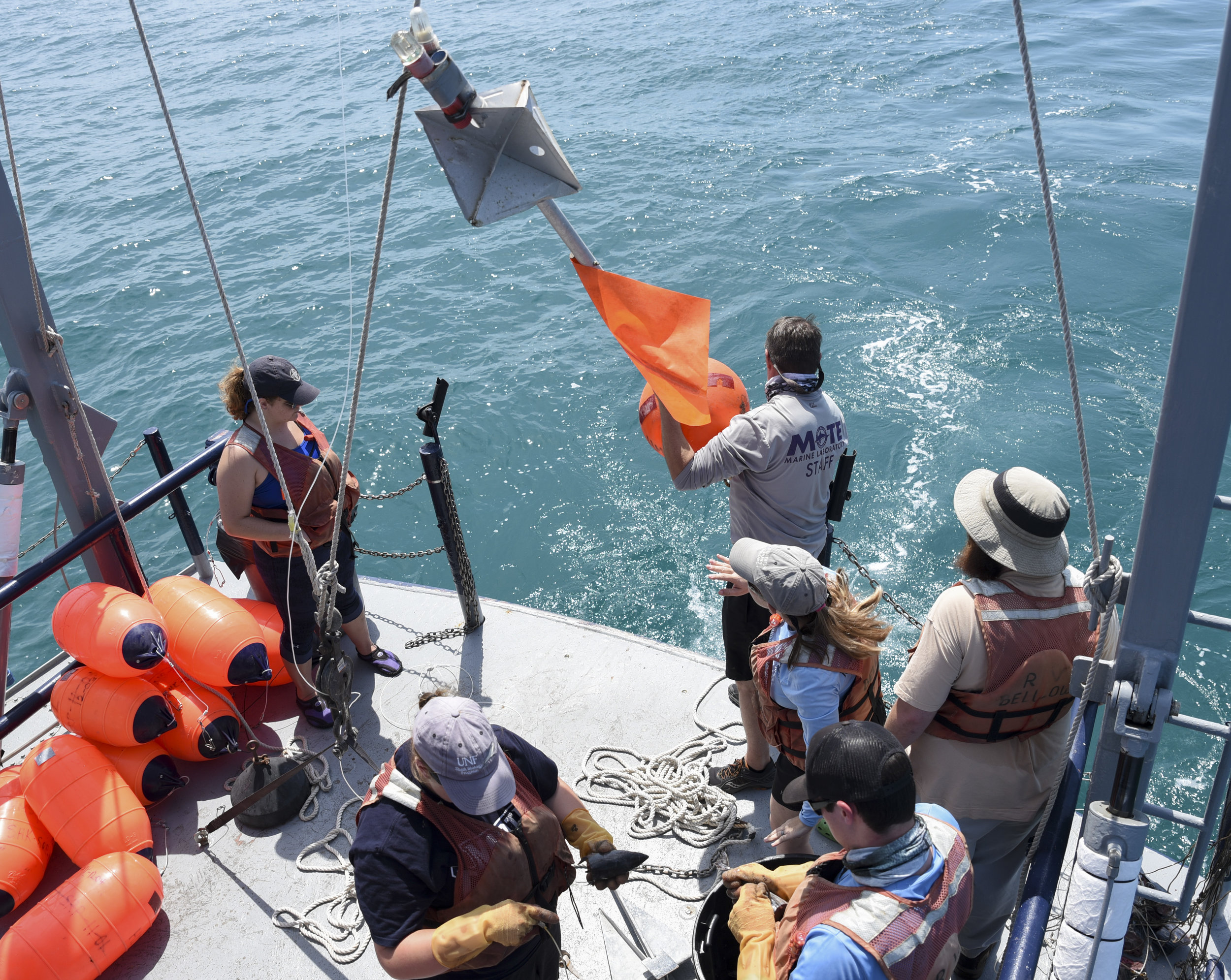  Mote Marine Lab senior biologist Jack Morris prepares to throw in a buoy that holds one end of the mile-long mainline, which carries 78 sets of baited hooks 