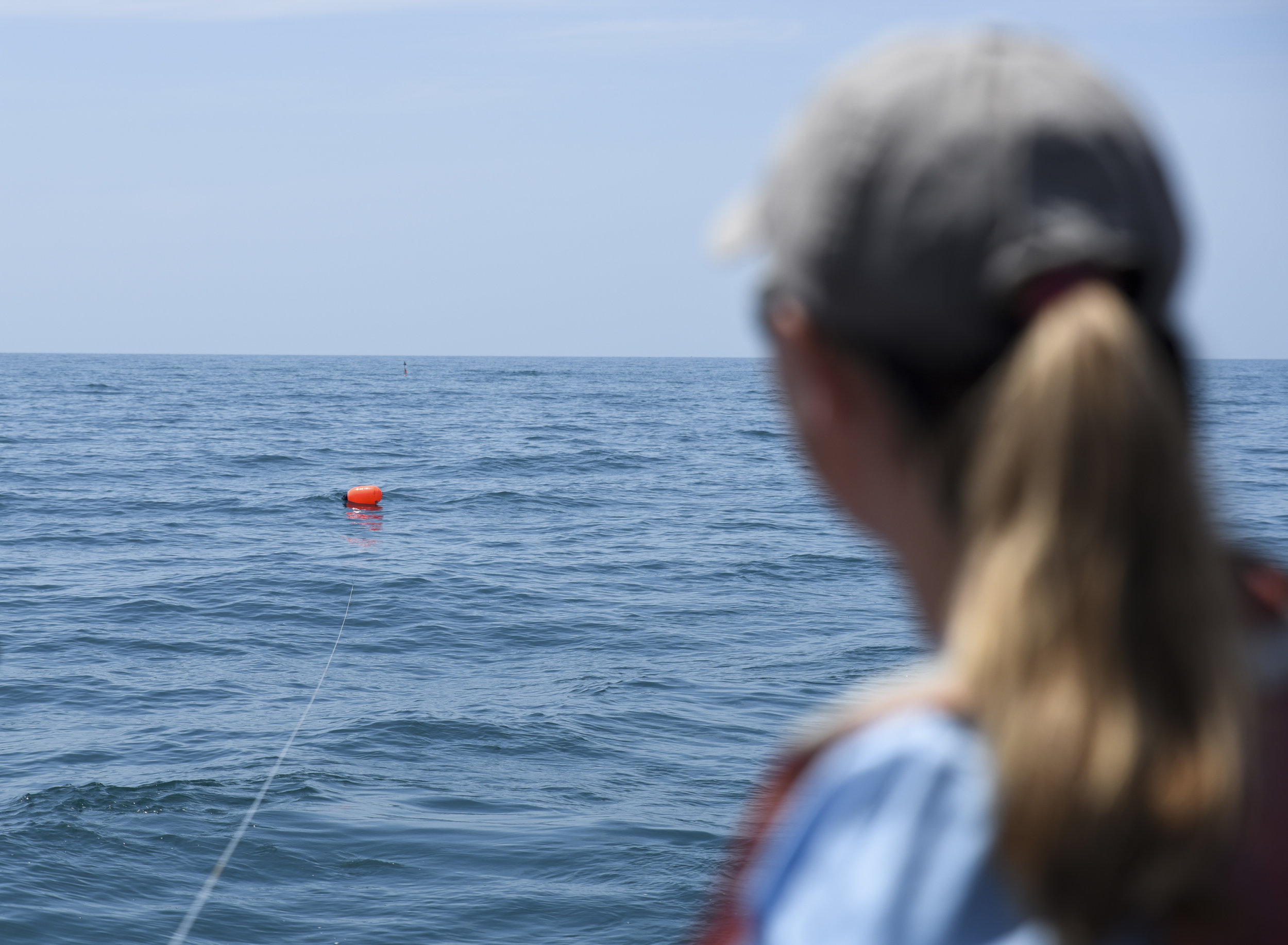  Jayne Gardiner, assistant professor of biology at the New College of Florida, watches one of the bright orange floaters on the mile-long mainline trail away from the R/V Bellows. 