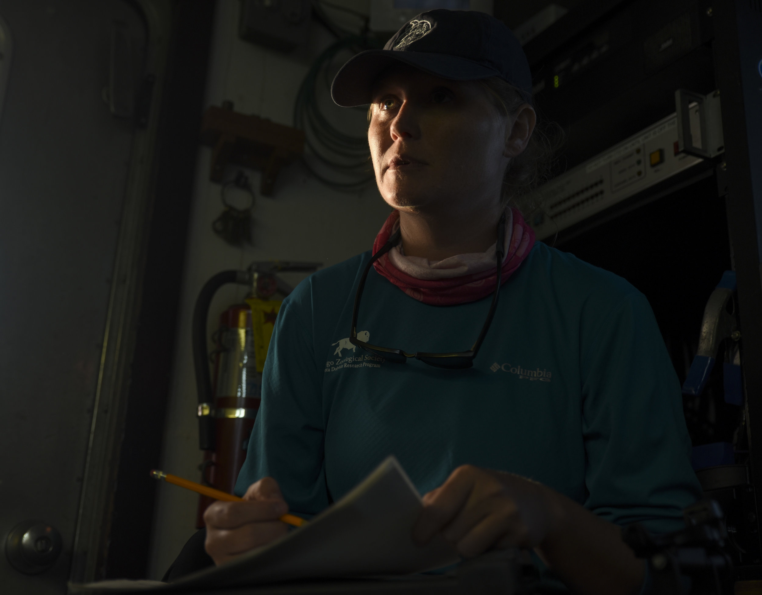  Kristen Wilkinson, a University of Florida PhD candidate, looks up from filling in a data sheet as the R/V Bellows steams back to Tampa Bay at sunset. 