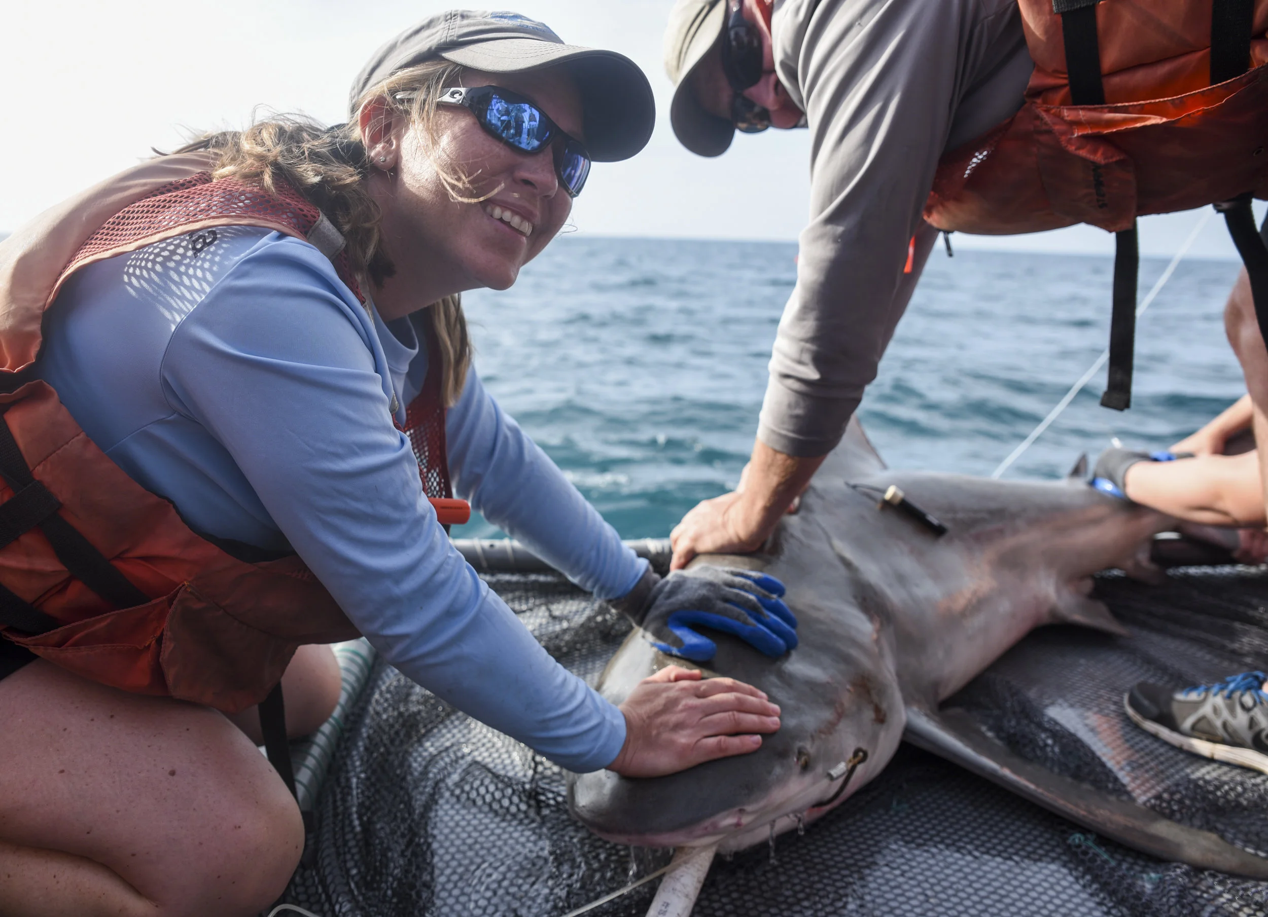 TP_410478_LEIV_11_SHARK.JPG