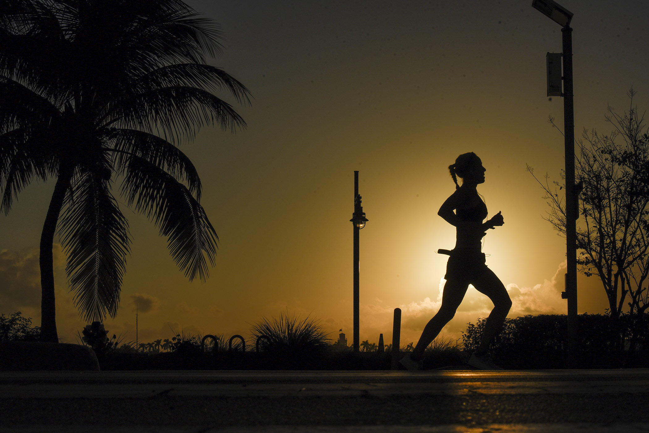  A runner travels south along North Flagler Drive at sunrise during the Palm Beaches Marathon. 