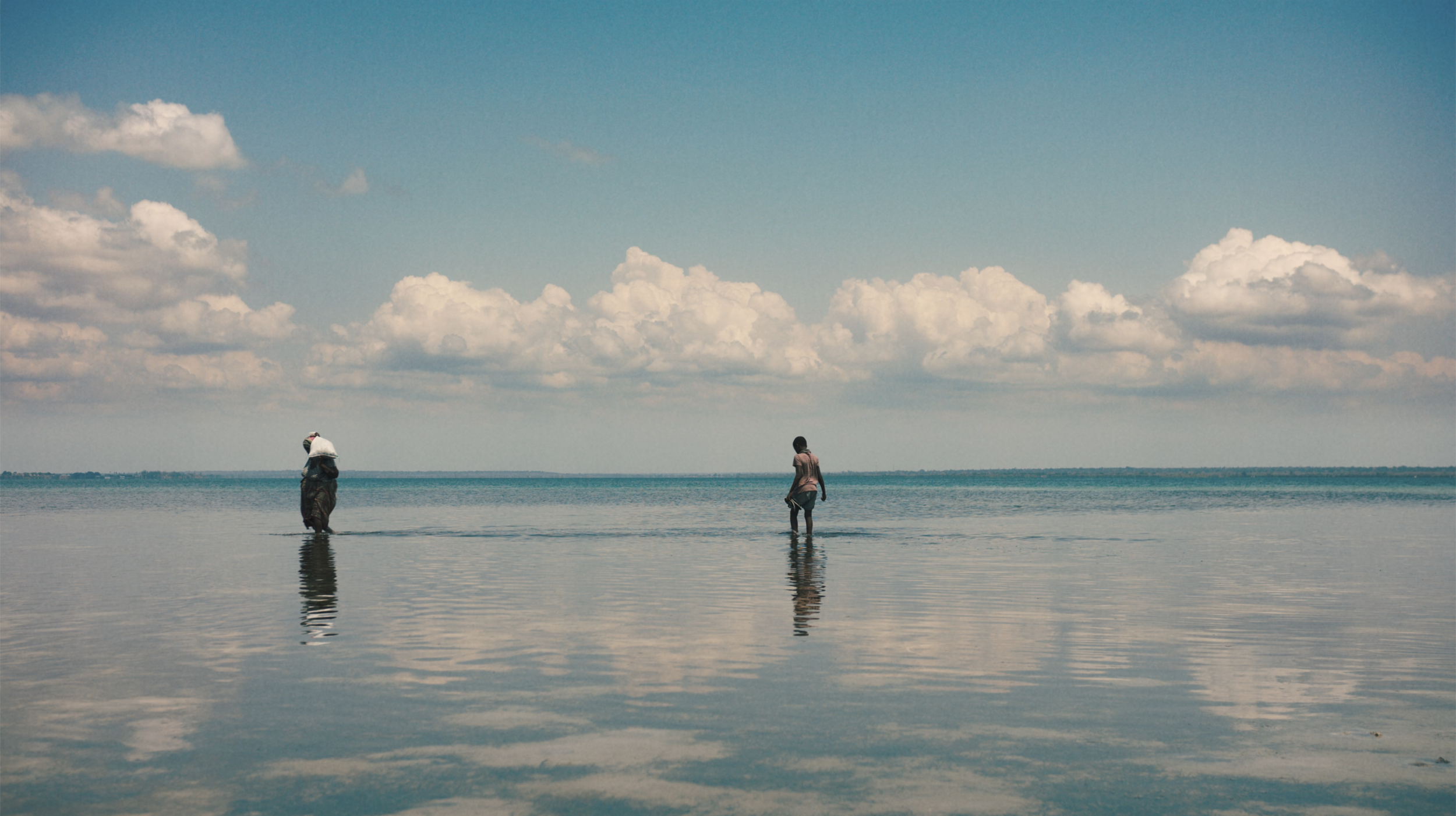 Screenshot 2020-07-30 at 18.19.51.png