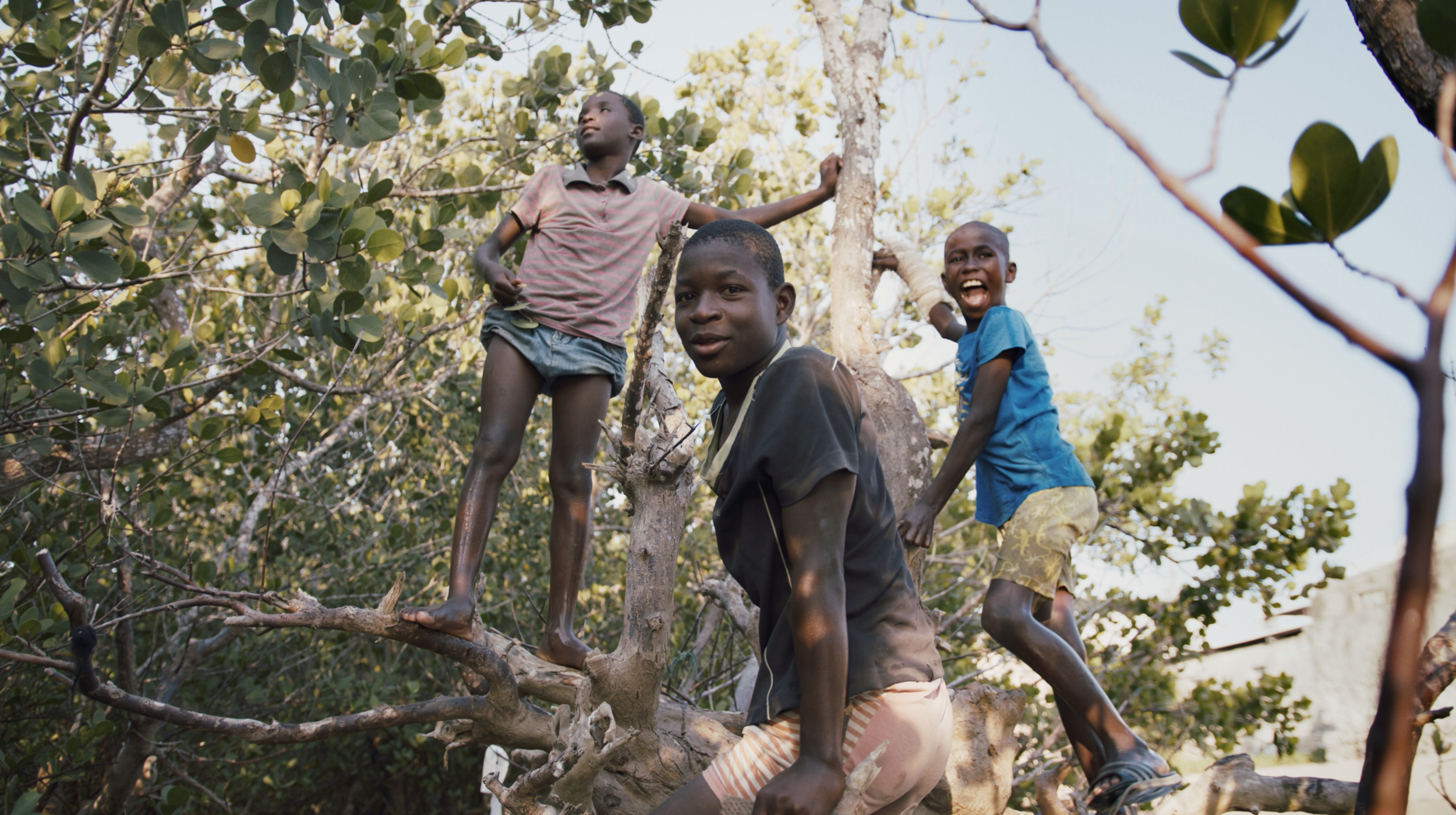 Screenshot 2020-07-31 at 21.18.36.png