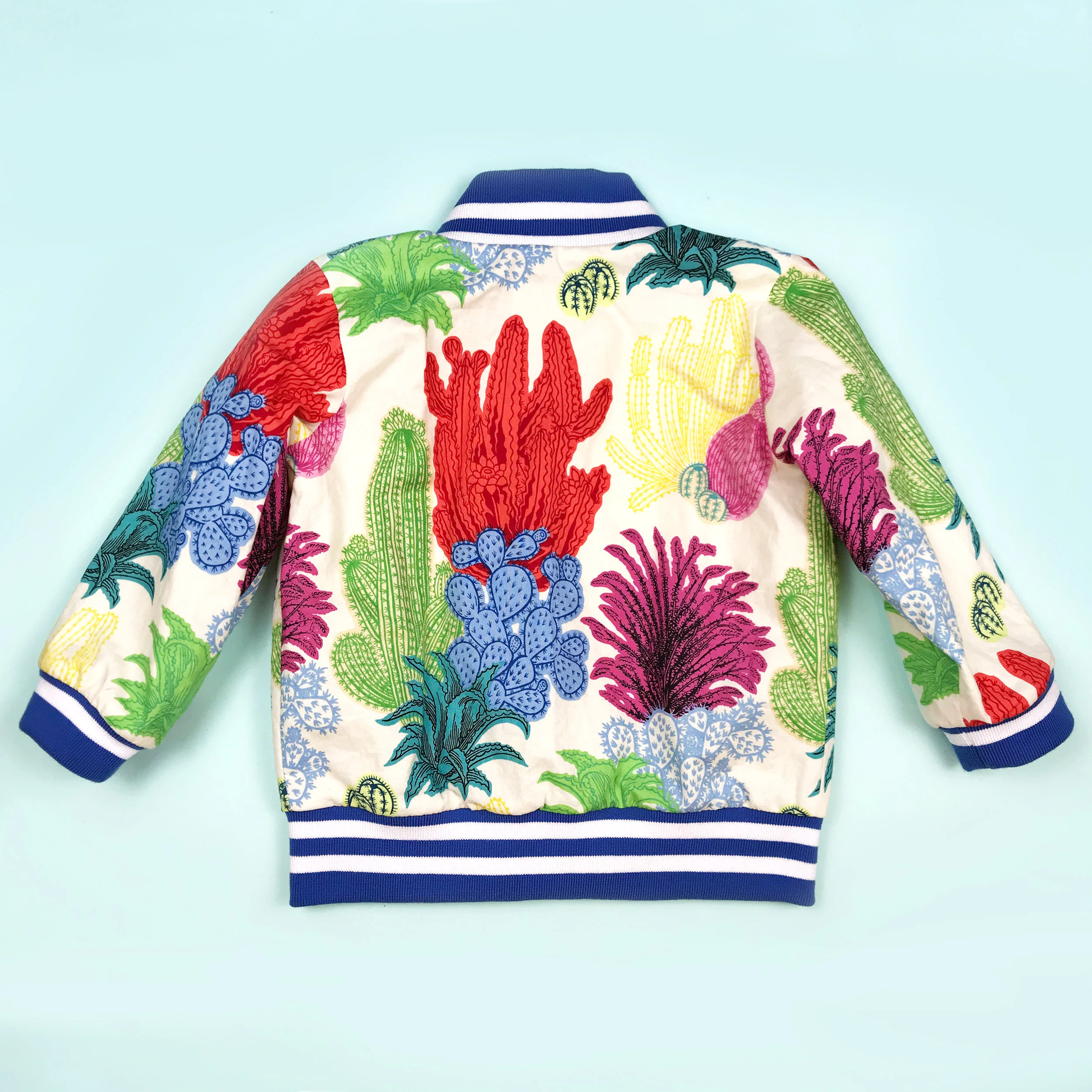 Multi colored cactus back.jpg