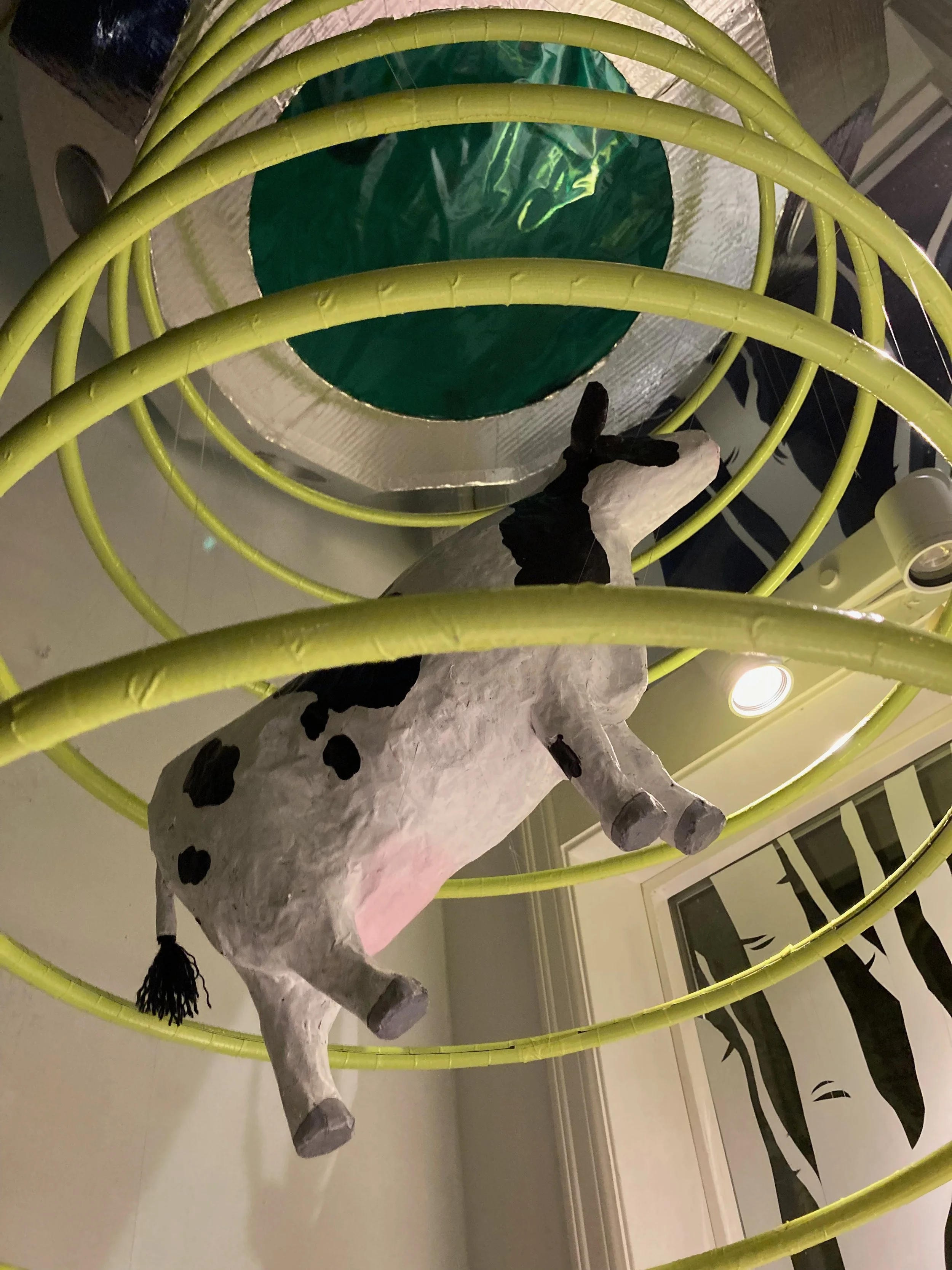IMG_1339.jpeg