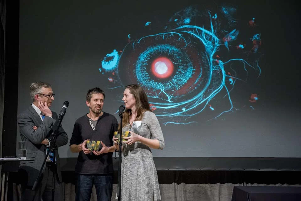 C0143871 Wellcome Image Awards 2017