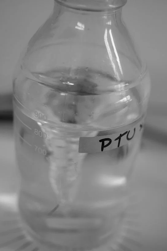 DSCF3725.jpg
