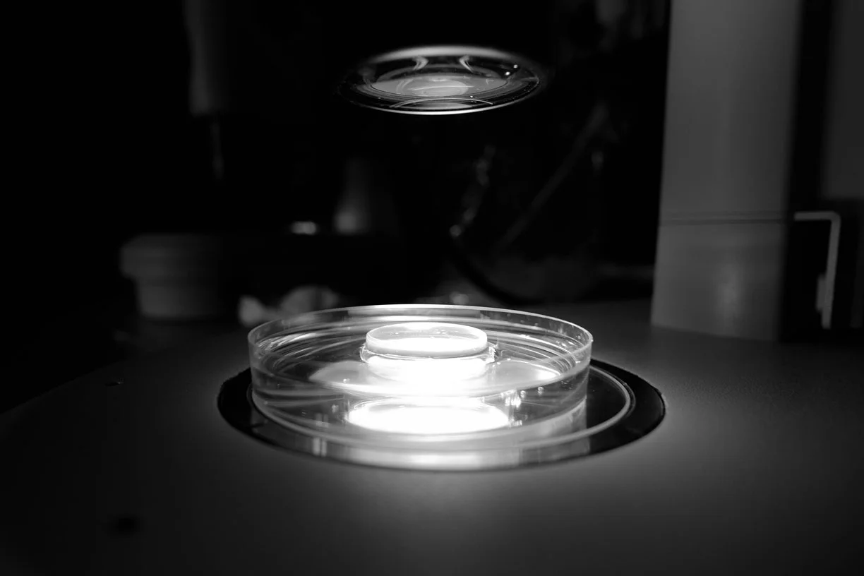 DSCF4068.jpg