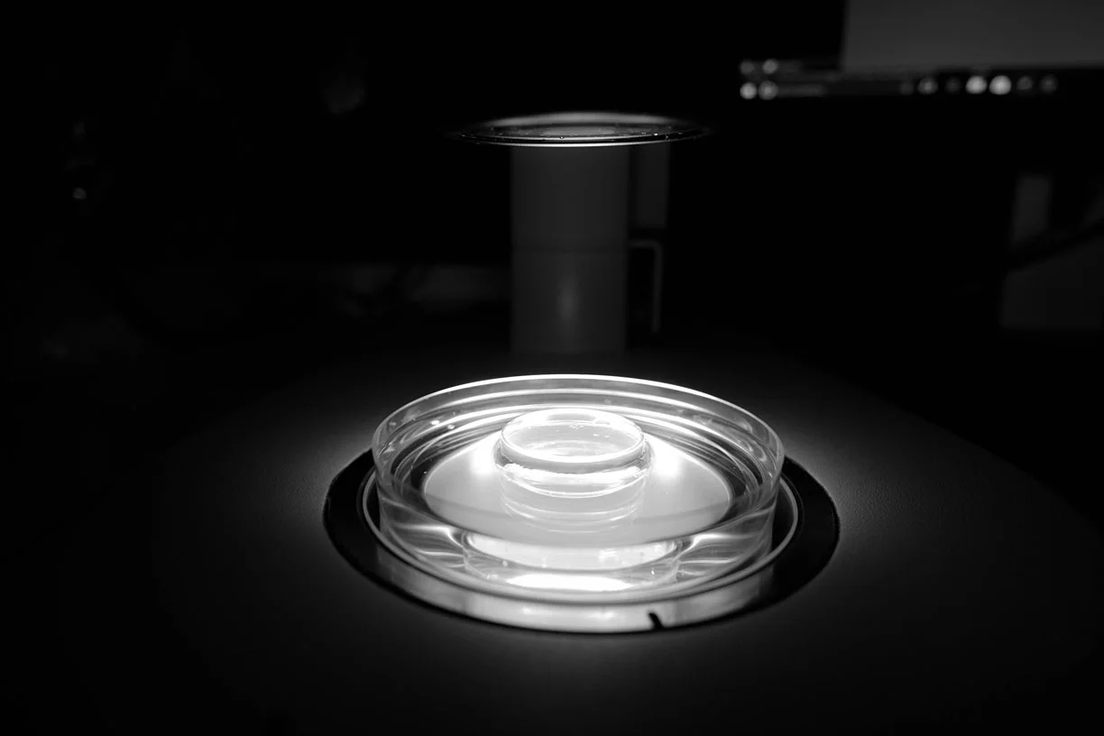 DSCF4070.jpg