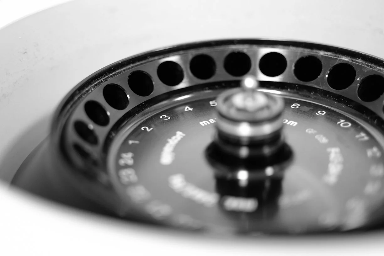 DSCF3737.jpg