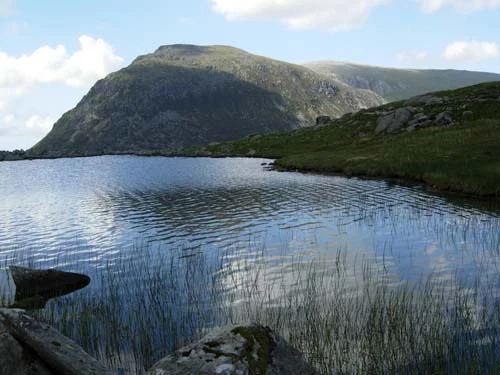 2009-wales---48_7581992778_o.jpg