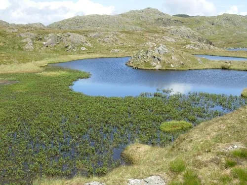 2009-wales---82_7581995582_o.jpg