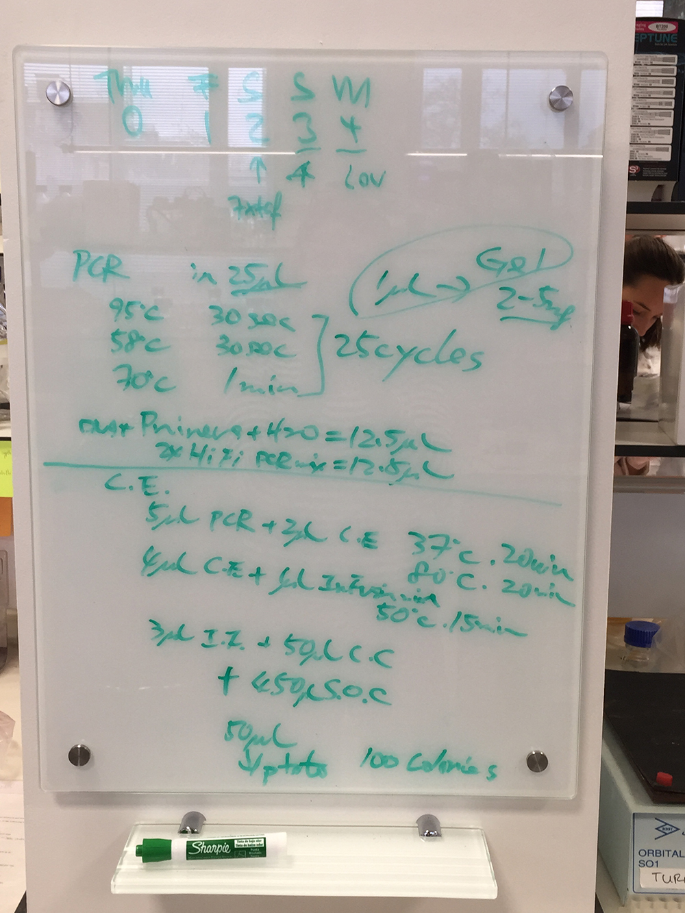white board instructions - PCR_7844.jpg