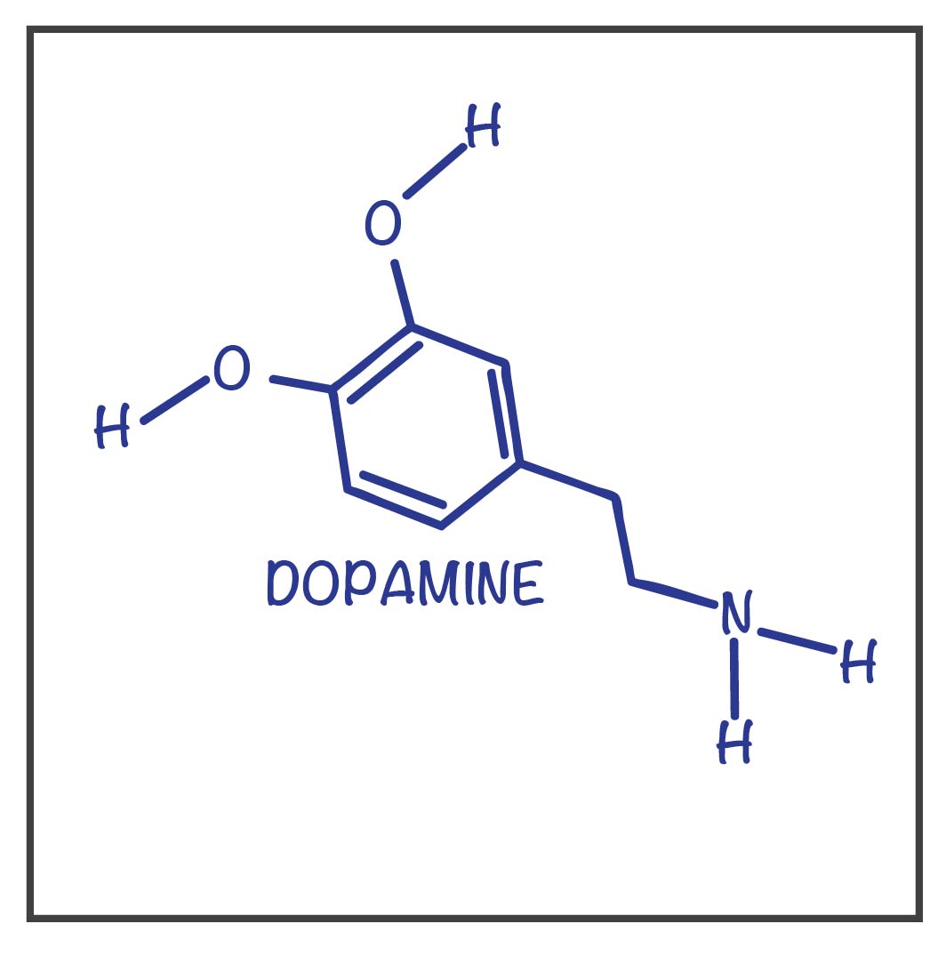 Dopamine What is