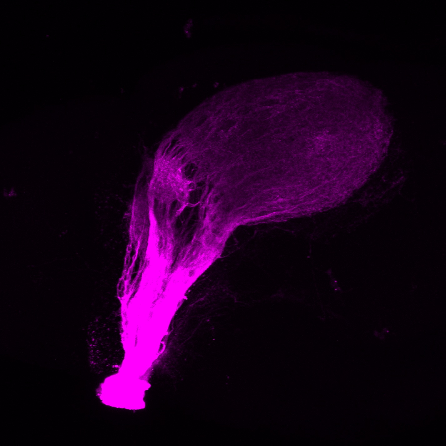 Screenshot 2019-04-15 13.43.17.png