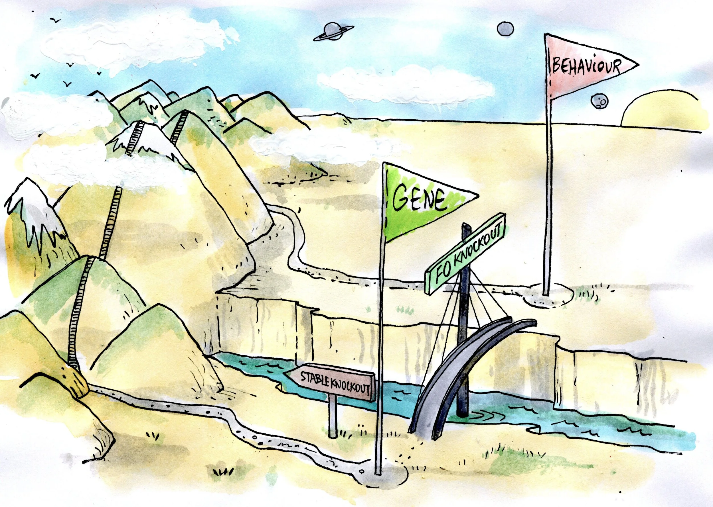 Simple CRISPR/Cas9 methods to knockout genes for behavioral studies