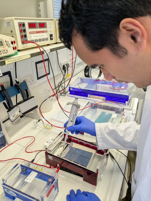 Tada Lab Zebrafish Academy 2026 — Zebrafish UCL