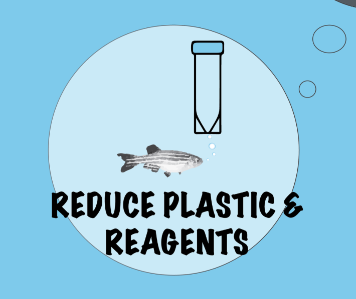 New Greener protocols for your In situ/Immuno/ and TUNEL experiments 