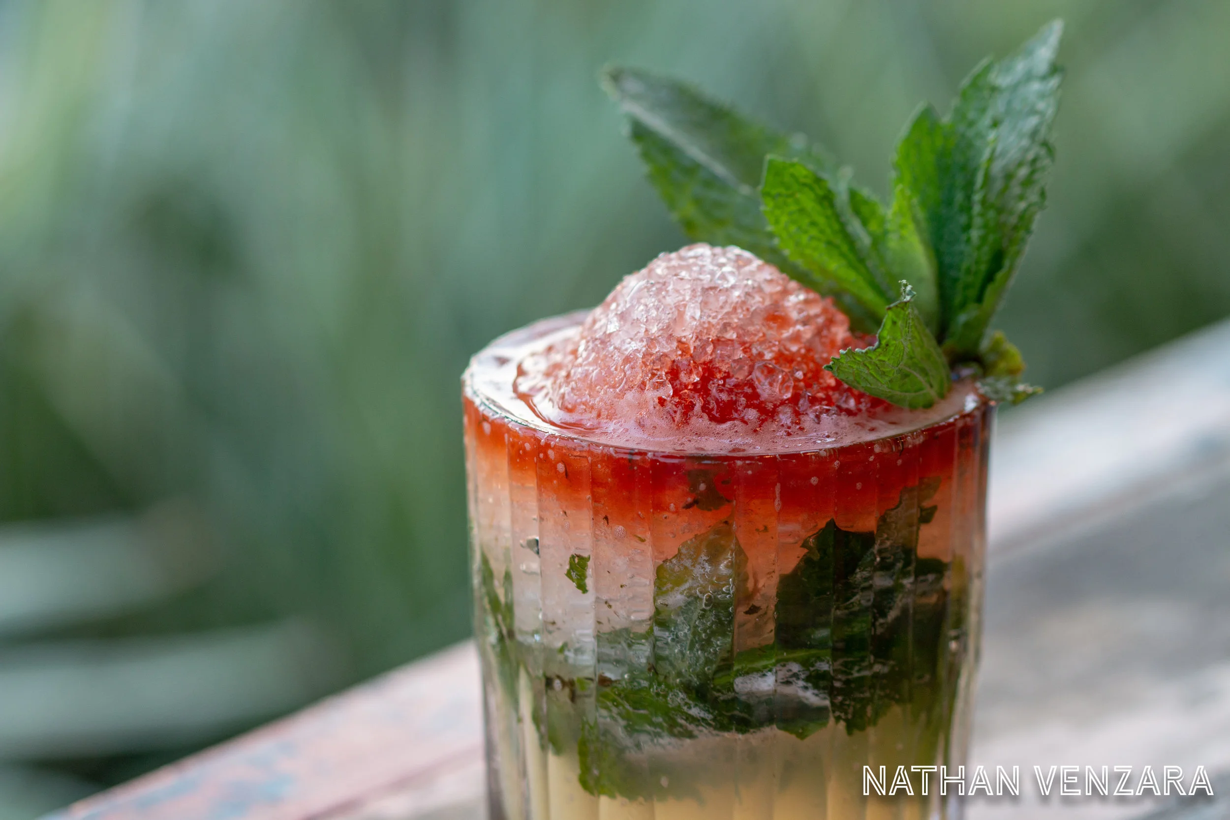 Photos by Nathan Venzara-168.jpg