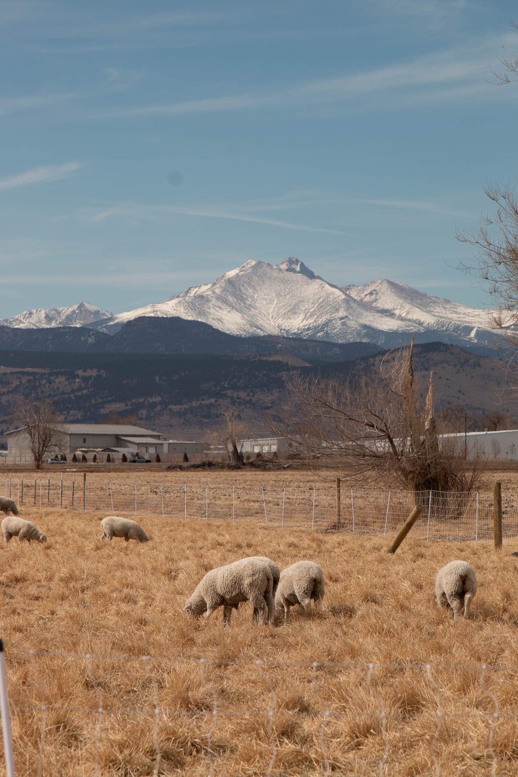 Farms Farmers Produce photography by Nathan Venzara Colorado Food Photographer-240.jpg