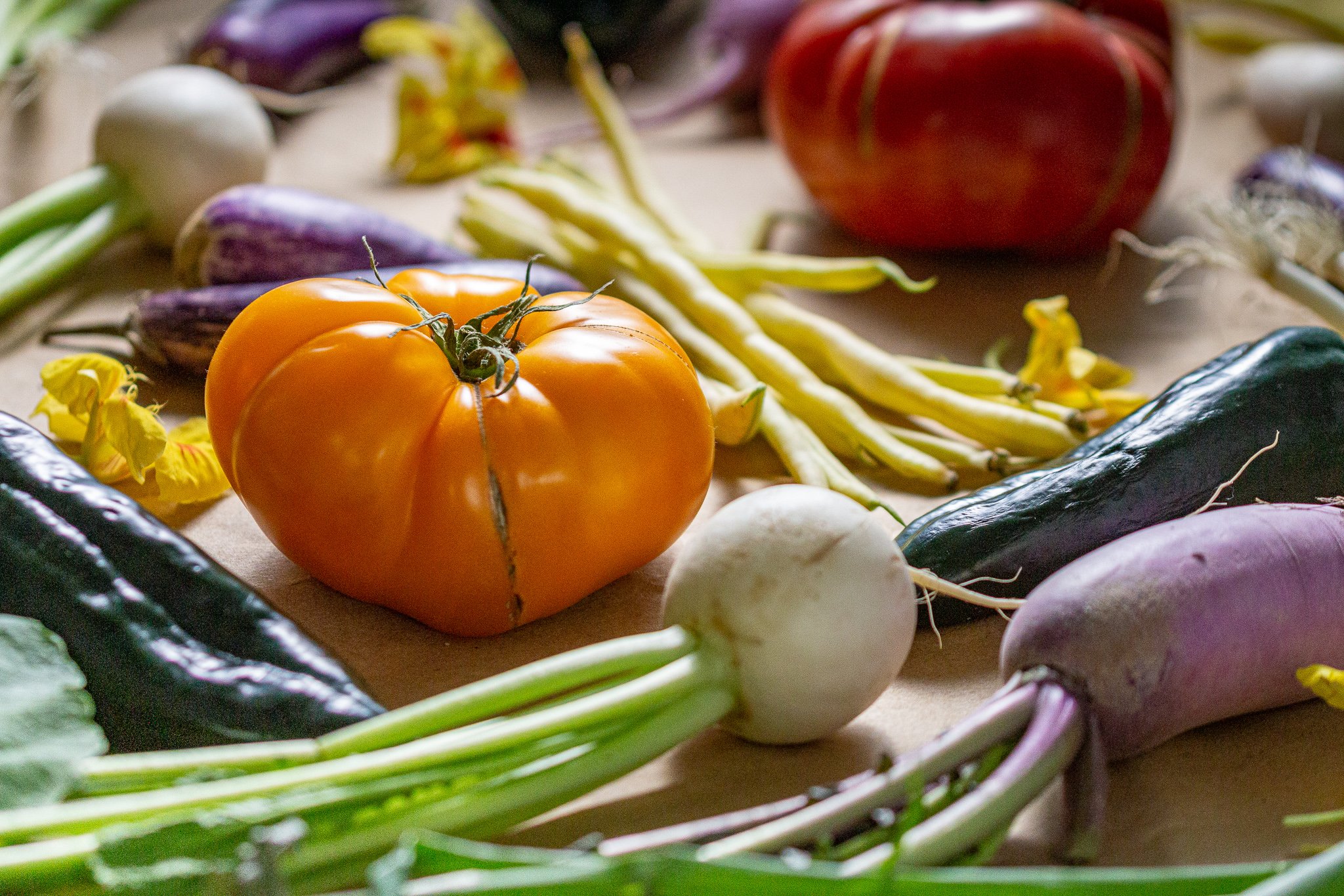 Farms Farmers Produce photography by Nathan Venzara Colorado Food Photographer-B-22.jpg