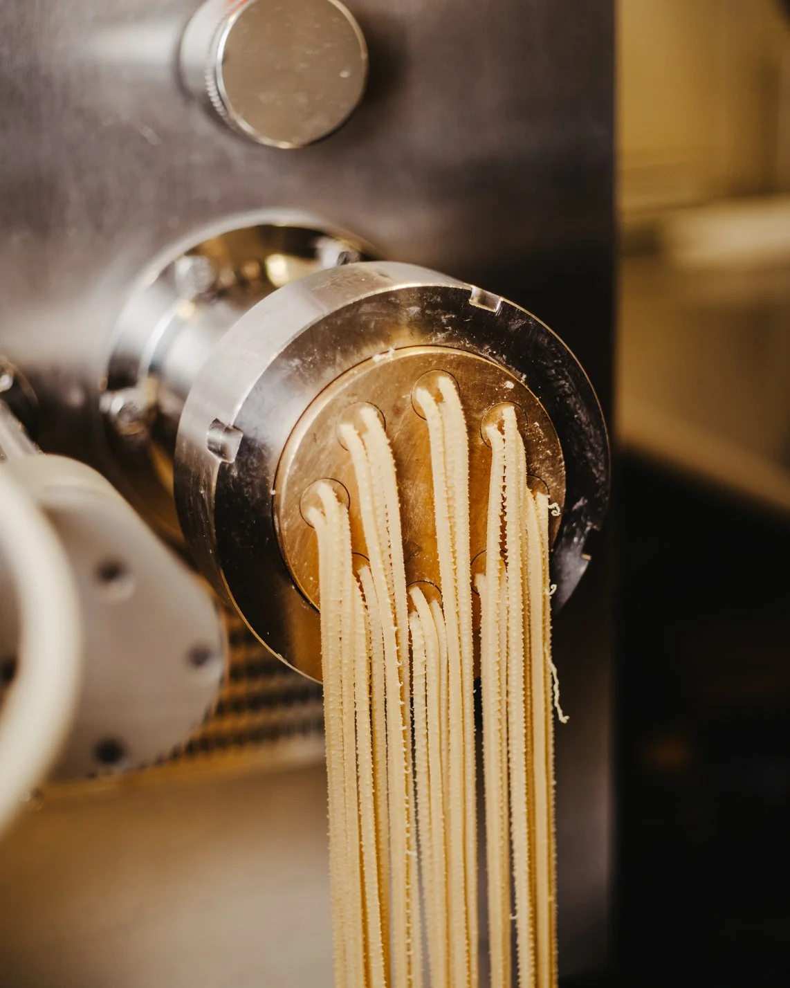 Fresh hand-made spaghetti in a pasta machine (Copy)
